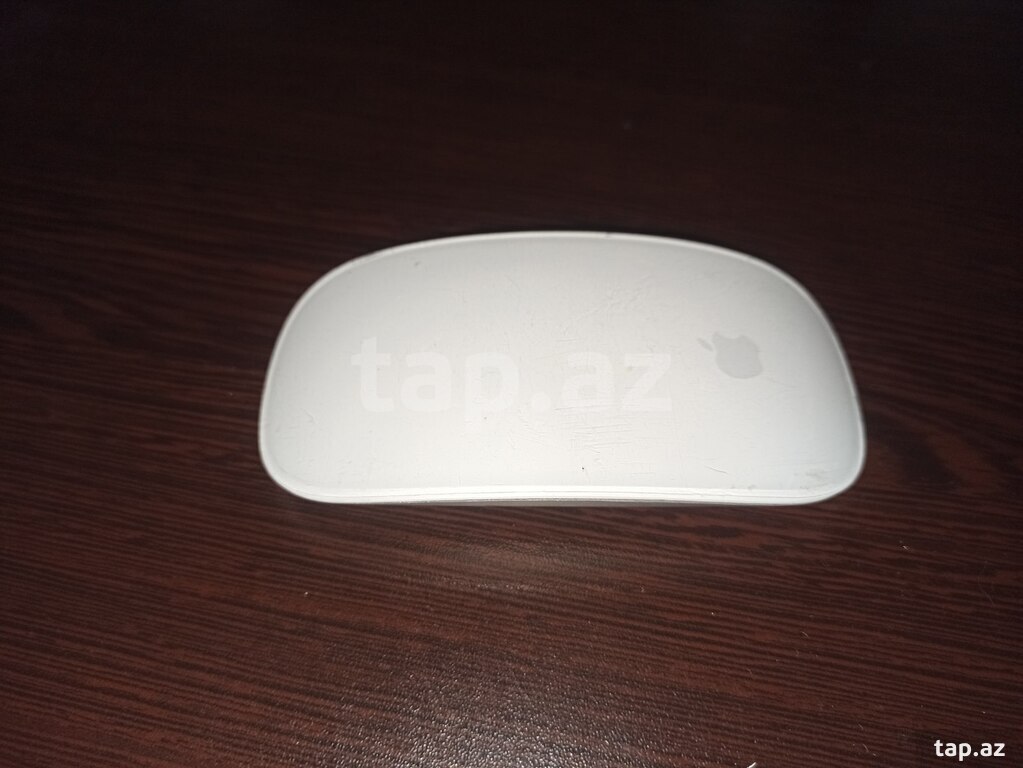 Apple Magic Mouse 1