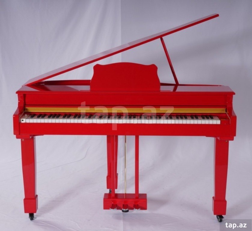 Elektro royal (21)