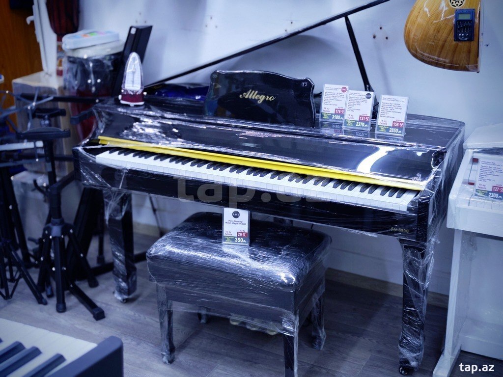 Elektro royal (3)