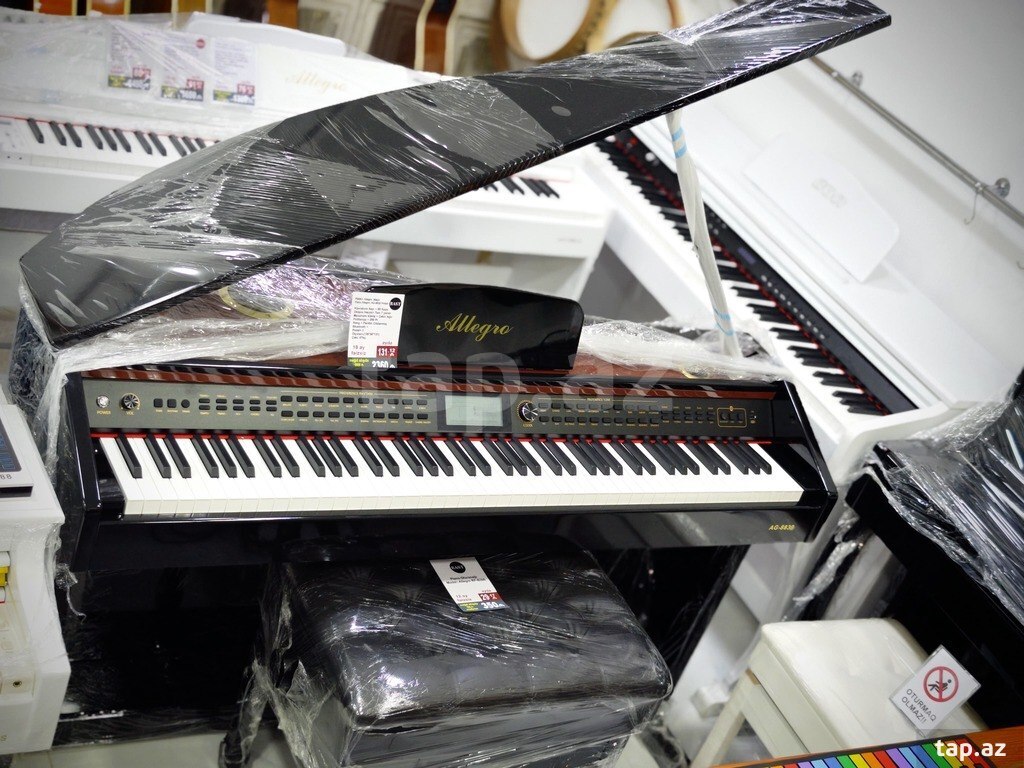 Elektro piano "Allegro RK - 222" (2)