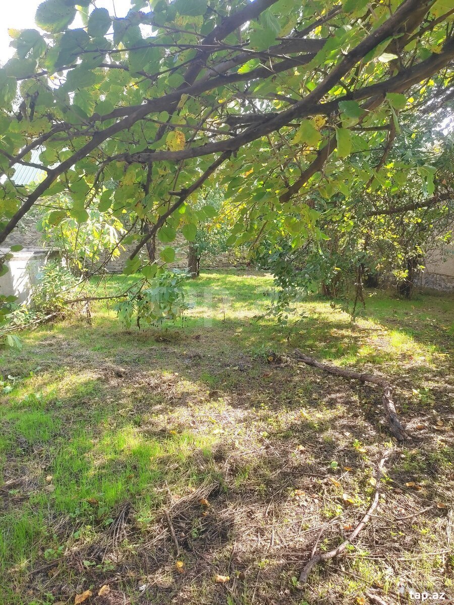Həyət evi, Şəki r.