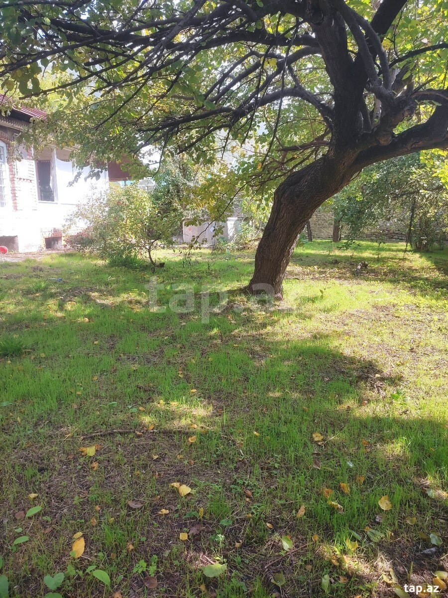 Həyət evi, Şəki r.