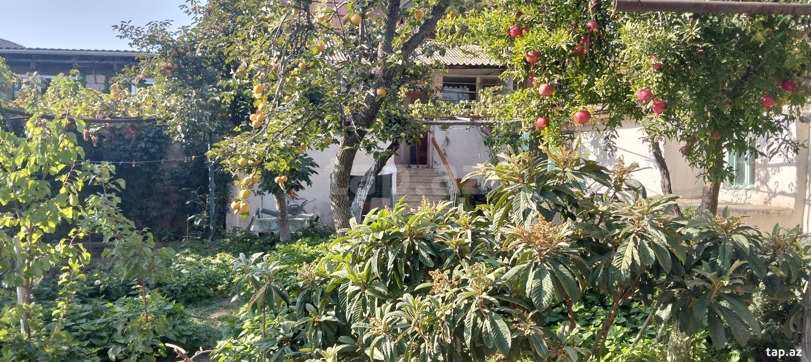 Həyət evi, Bülbülə qəs. (3)