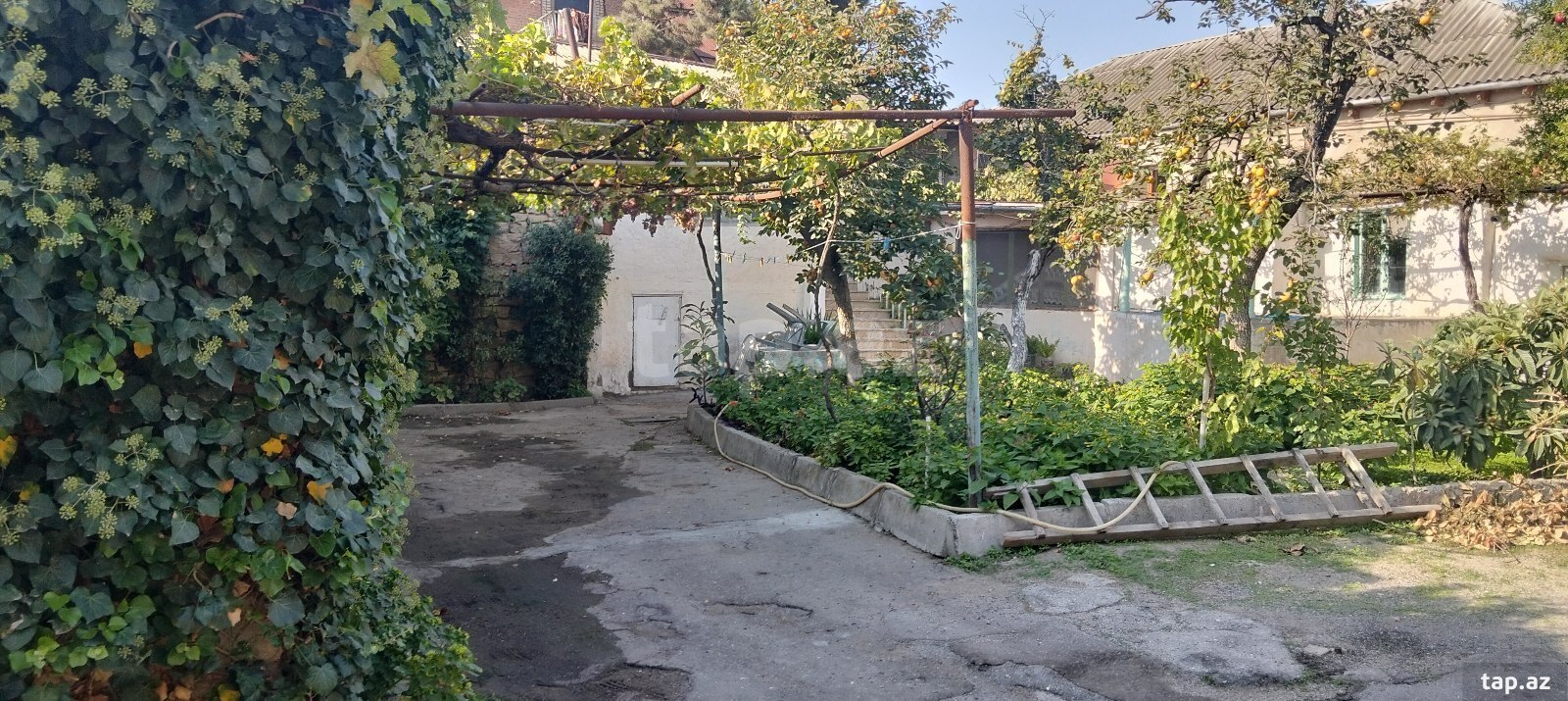 Həyət evi, Bülbülə qəs. (5)