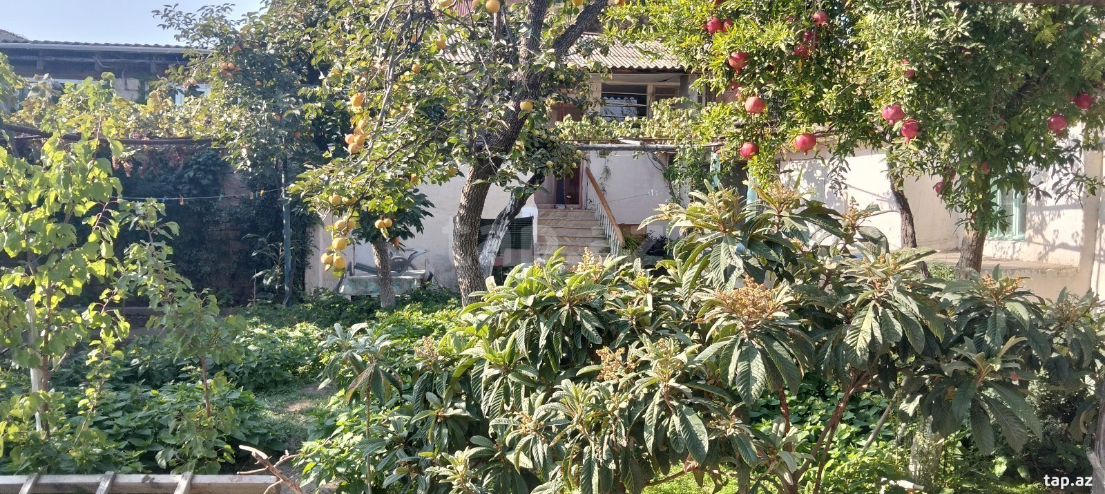 Həyət evi, Bülbülə qəs. (6)