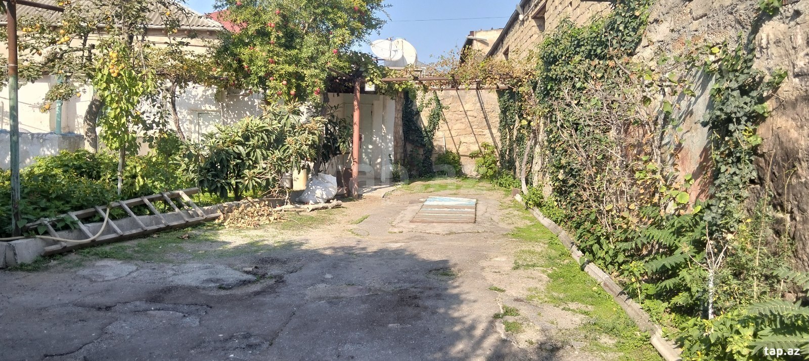 Həyət evi, Bülbülə qəs. (7)