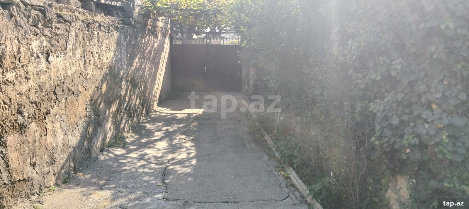 Həyət evi, Bülbülə qəs. (10)