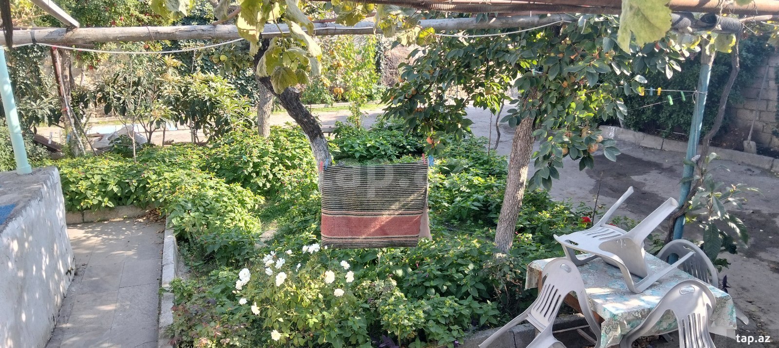 Həyət evi, Bülbülə qəs. (11)