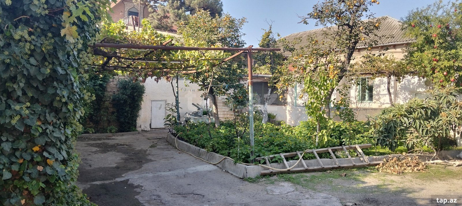 Həyət evi, Bülbülə qəs. (32)
