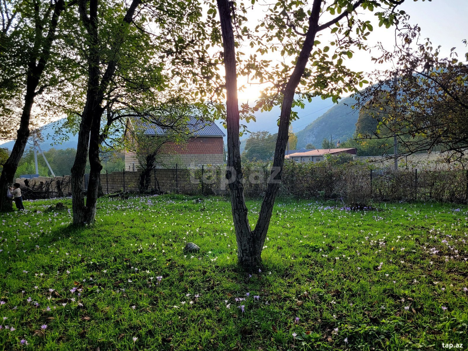3 sot torpaq sahəsi, Oğuz ş. (3)