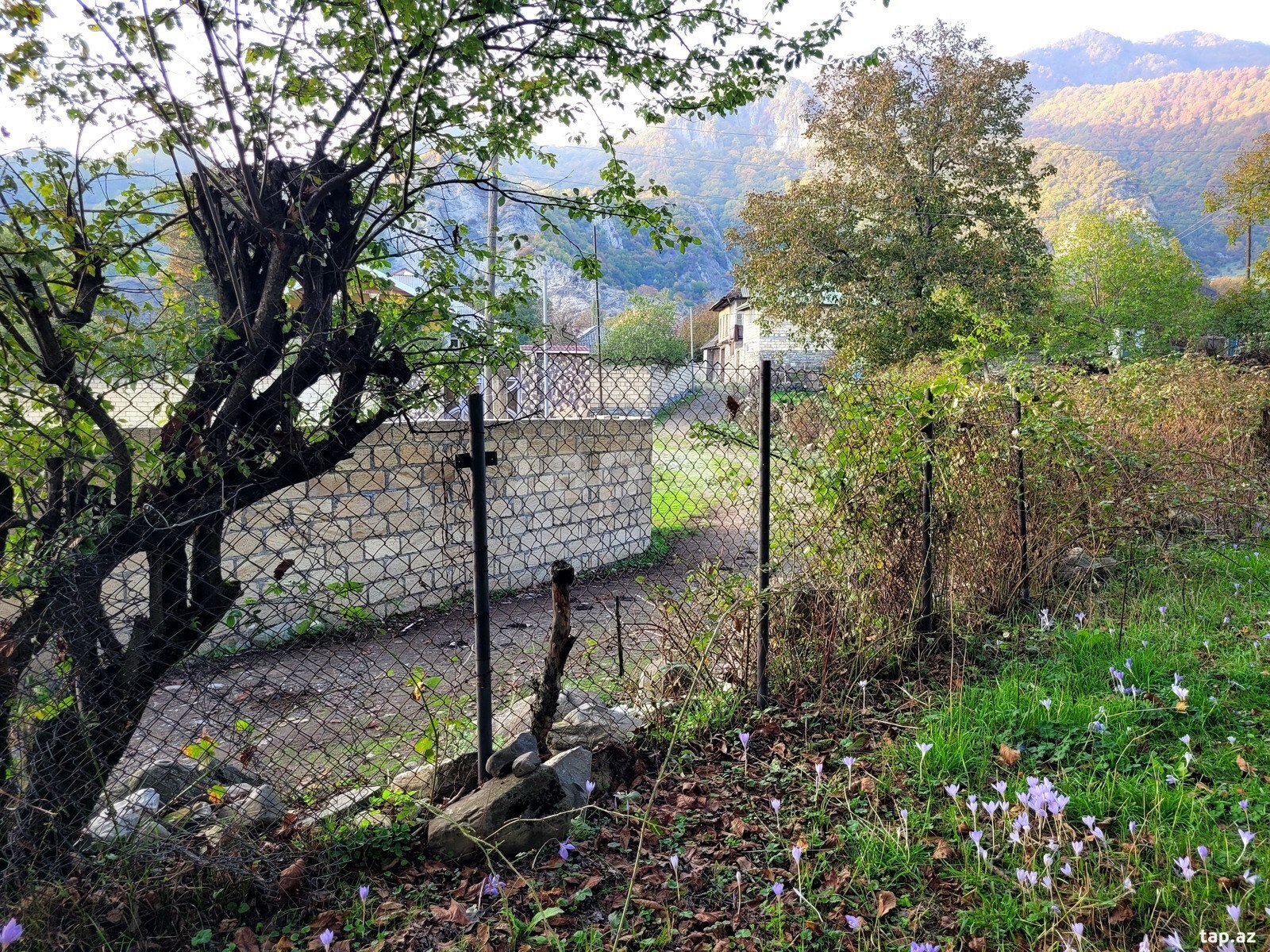 3 sot torpaq sahəsi, Oğuz ş. (6)