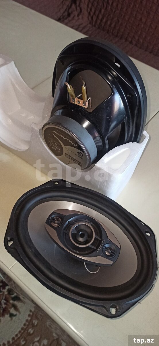 Dinamik "Pioneer" (2)