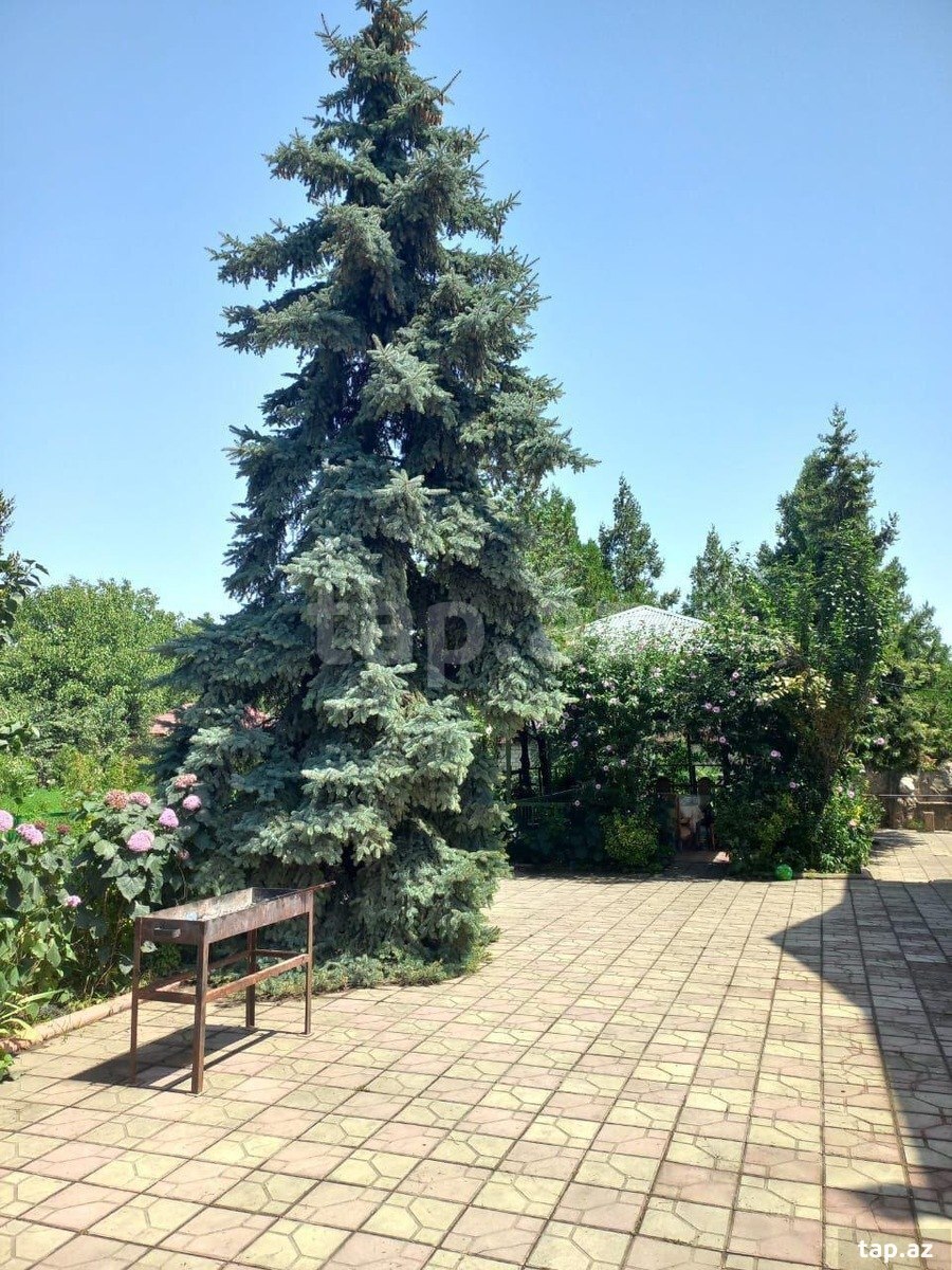 Villa kirayə verilir, Quba r. (23)