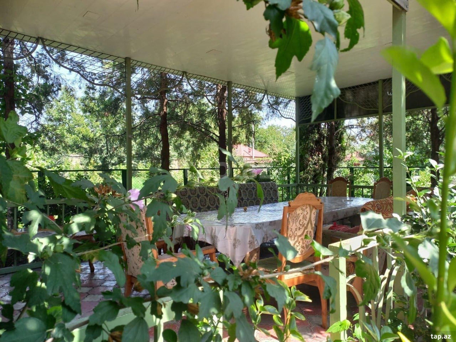 Villa kirayə verilir, Quba r. (19)