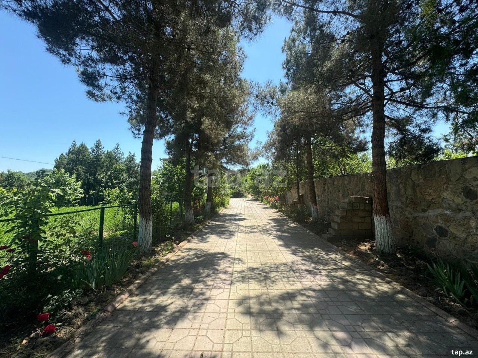 Villa kirayə verilir, Quba r. (21)