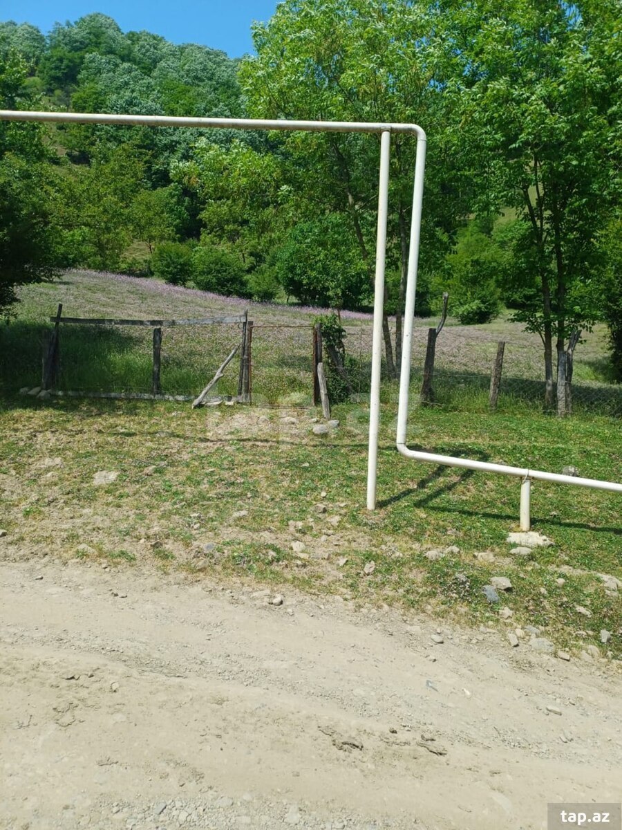 12 sot torpaq sahəsi, Lerik r. (3)