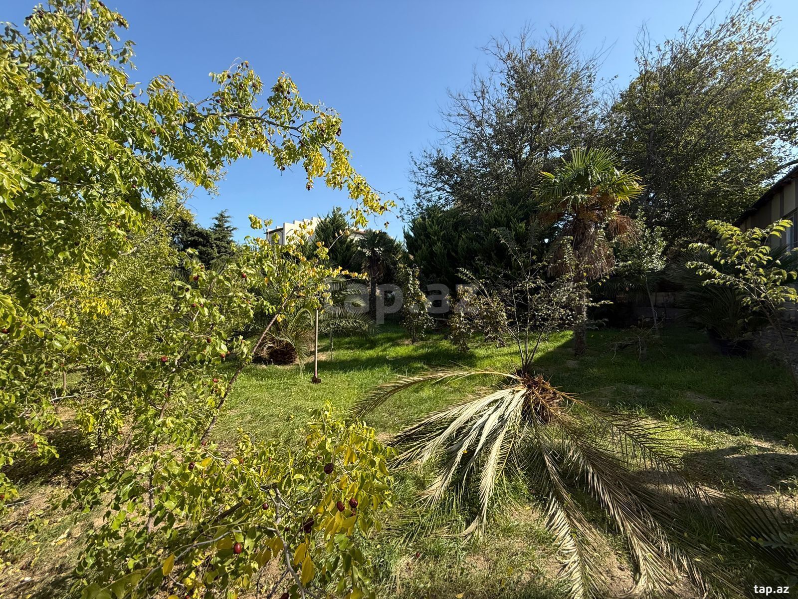 Torpaq satılır, Mərdəkan, Bakı