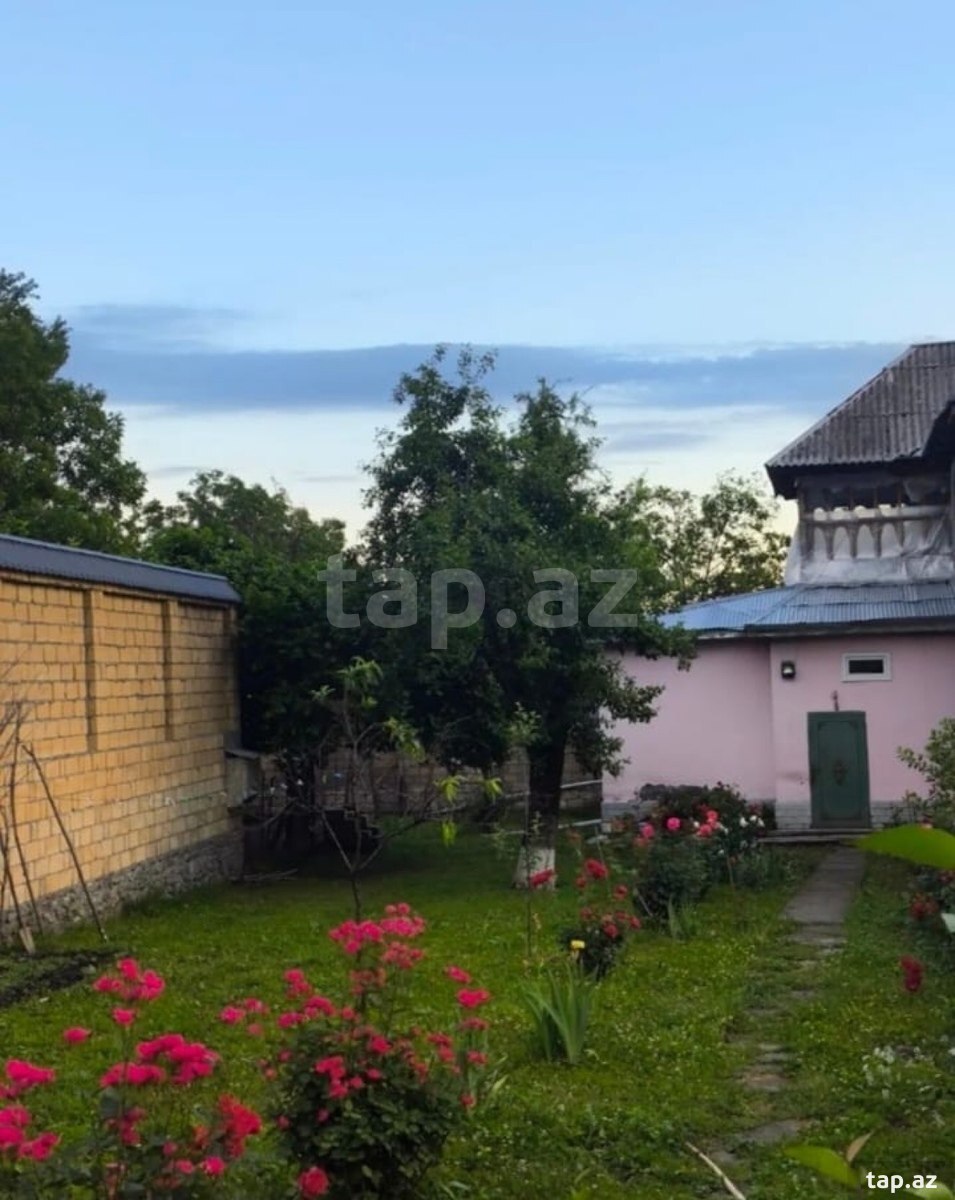 Land for sale, Gabala, Gabala