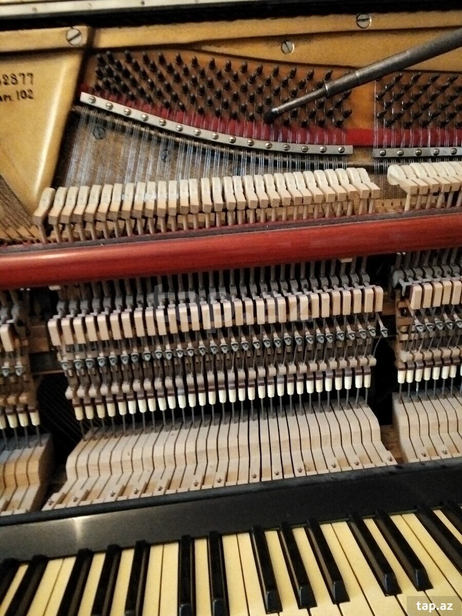 Piano və royal köklənməsi