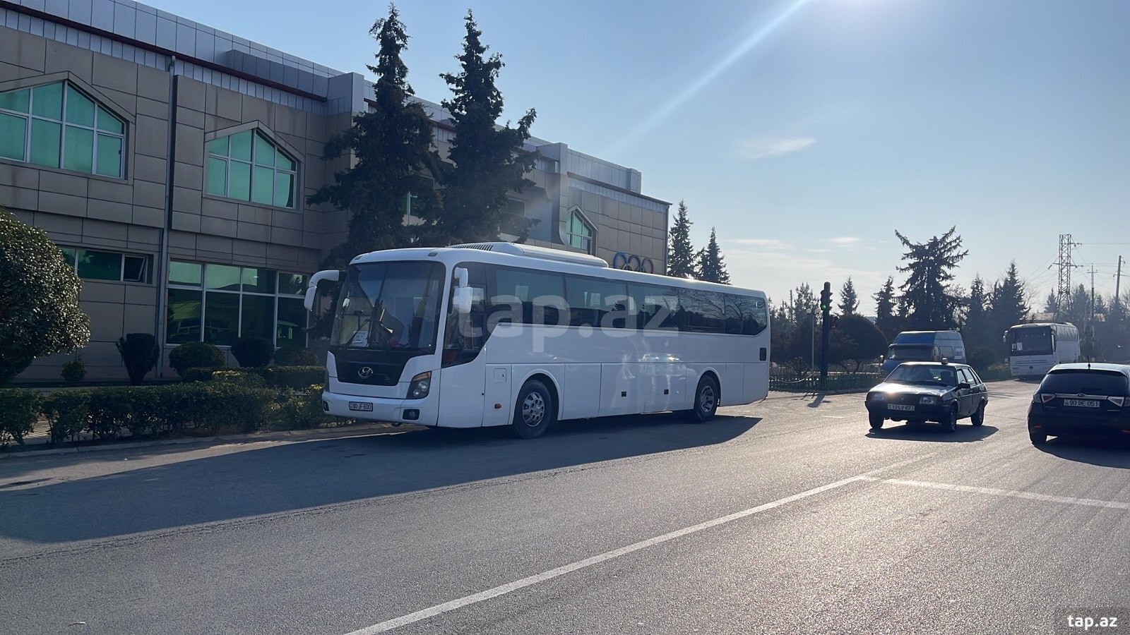Avtobus sifarişi (20)
