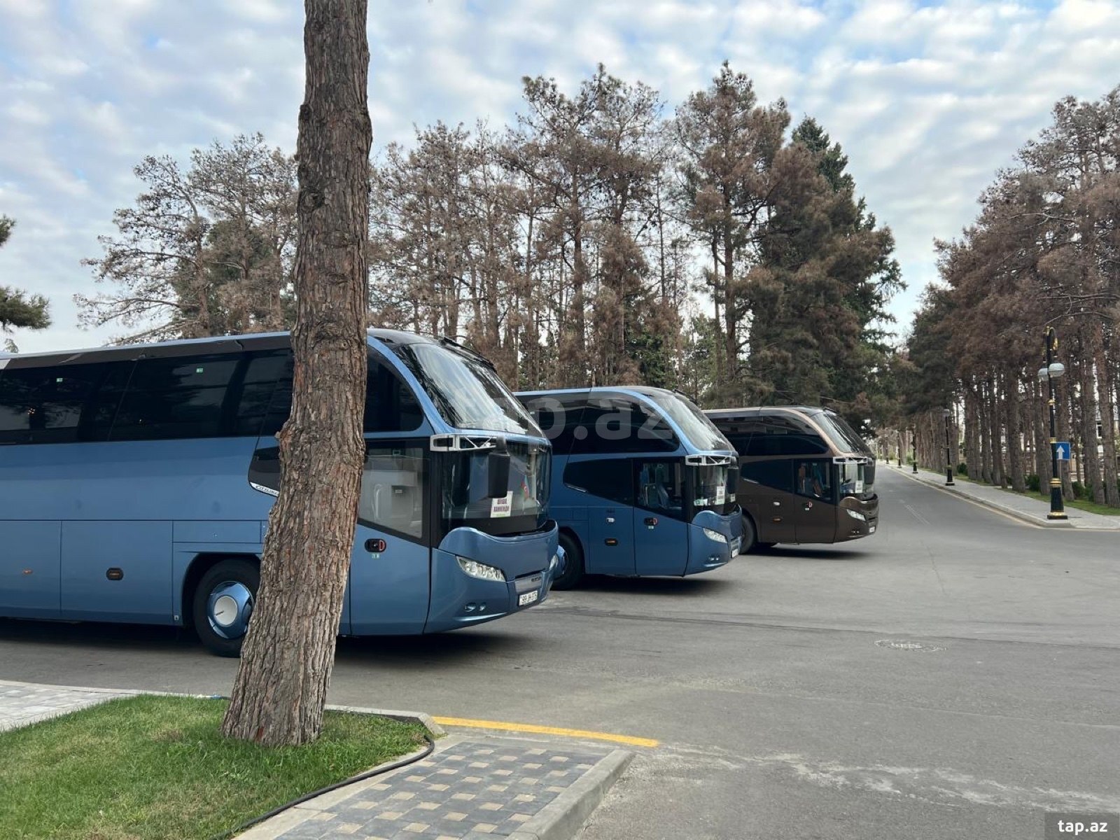 Avtobus sifarişi (7)