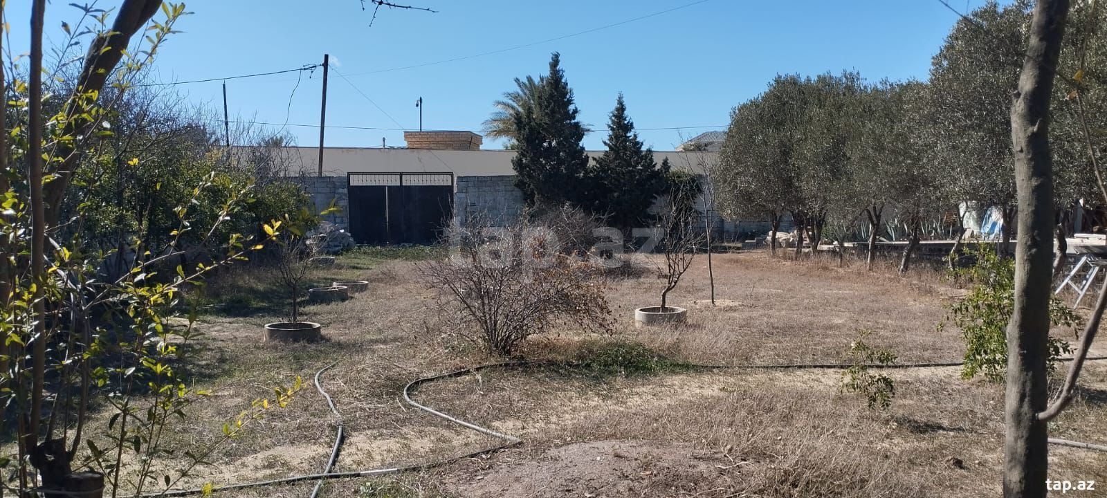 Torpaq satılır, Bilgəh, Bakı
