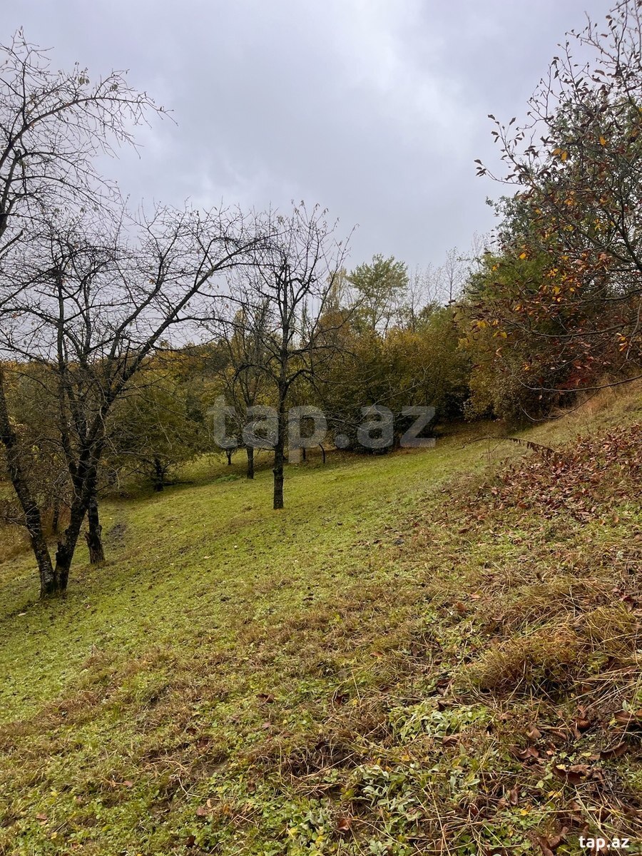 40 sot torpaq sahəsi, Qusar r. (4)