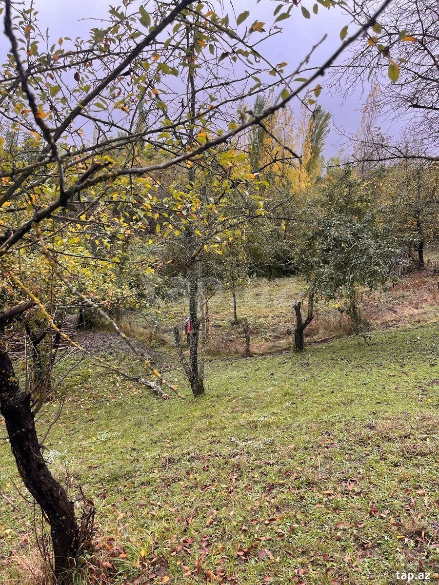 40 sot torpaq sahəsi, Qusar r. (2)