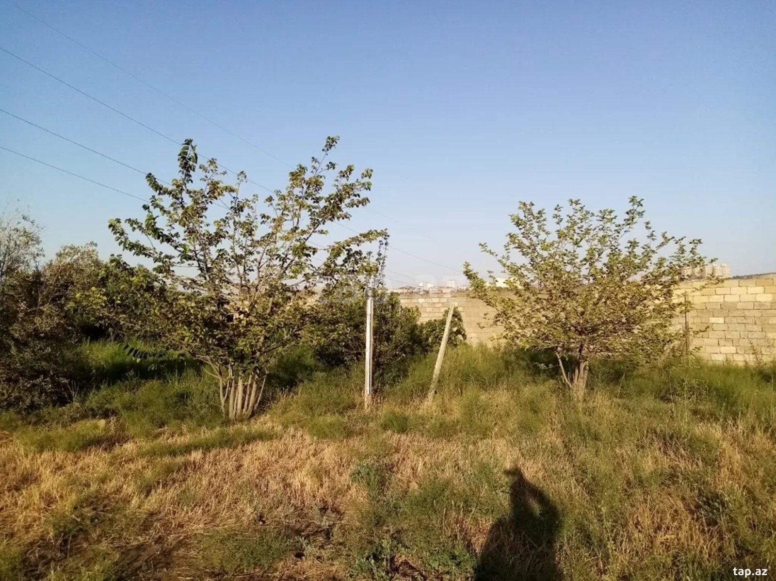 Həyət evi kirayə verilir, Sulutəpə qəs. (14)