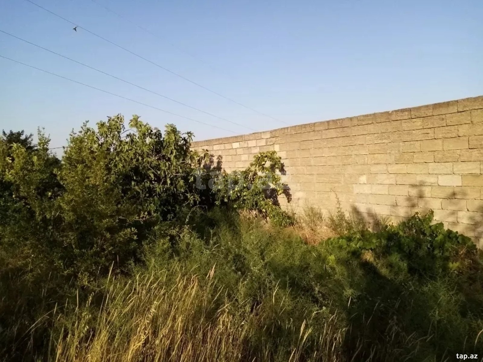 Həyət evi kirayə verilir, Sulutəpə qəs. (13)