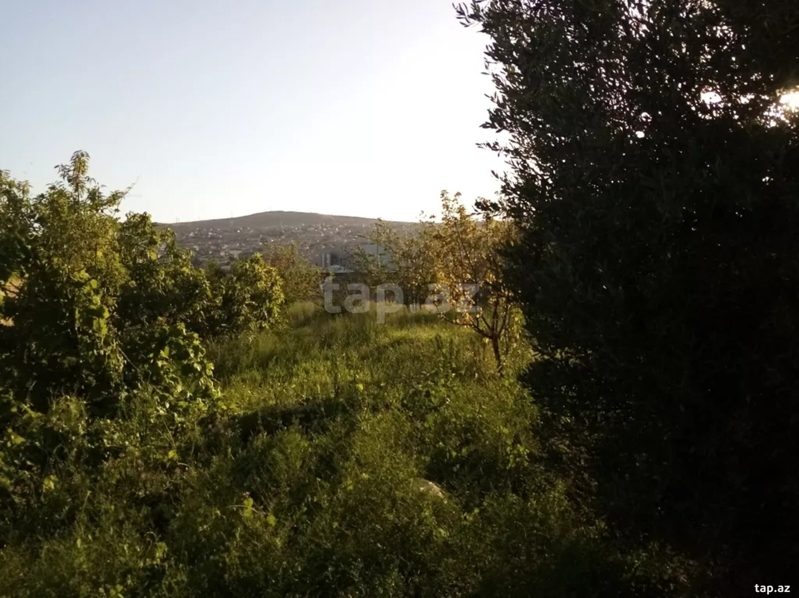 Həyət evi kirayə verilir, Sulutəpə qəs. (19)
