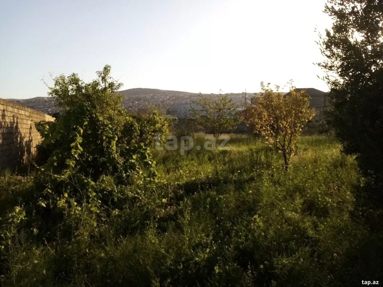 Həyət evi kirayə verilir, Sulutəpə qəs. (23)