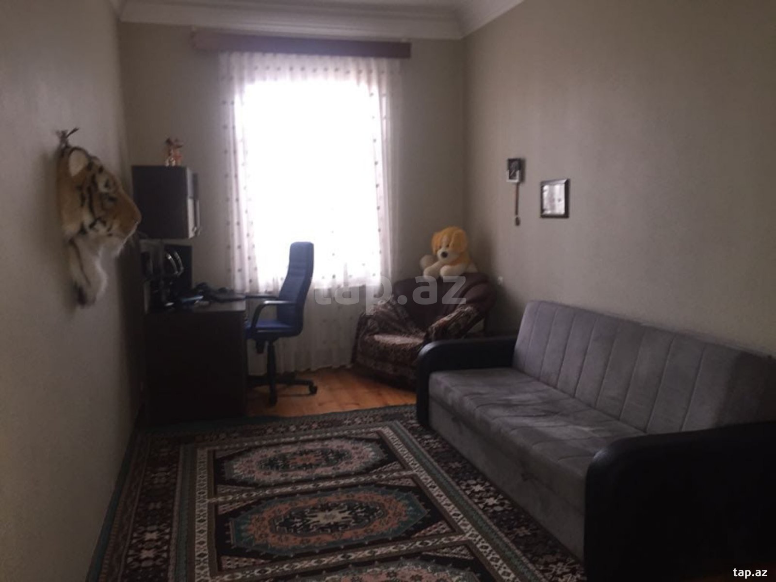 Həyət evi, Gəncə ş.