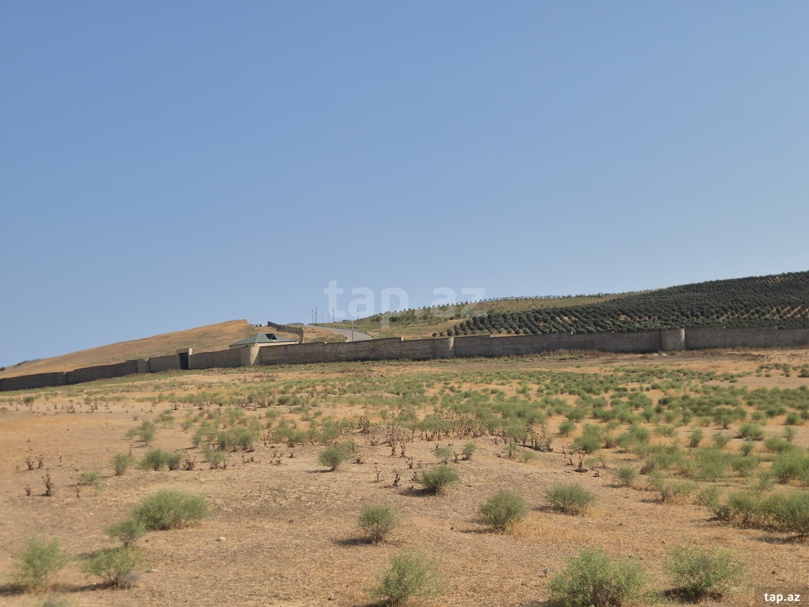 41 sot torpaq sahəsi, Mehdiabad qəs. (6)