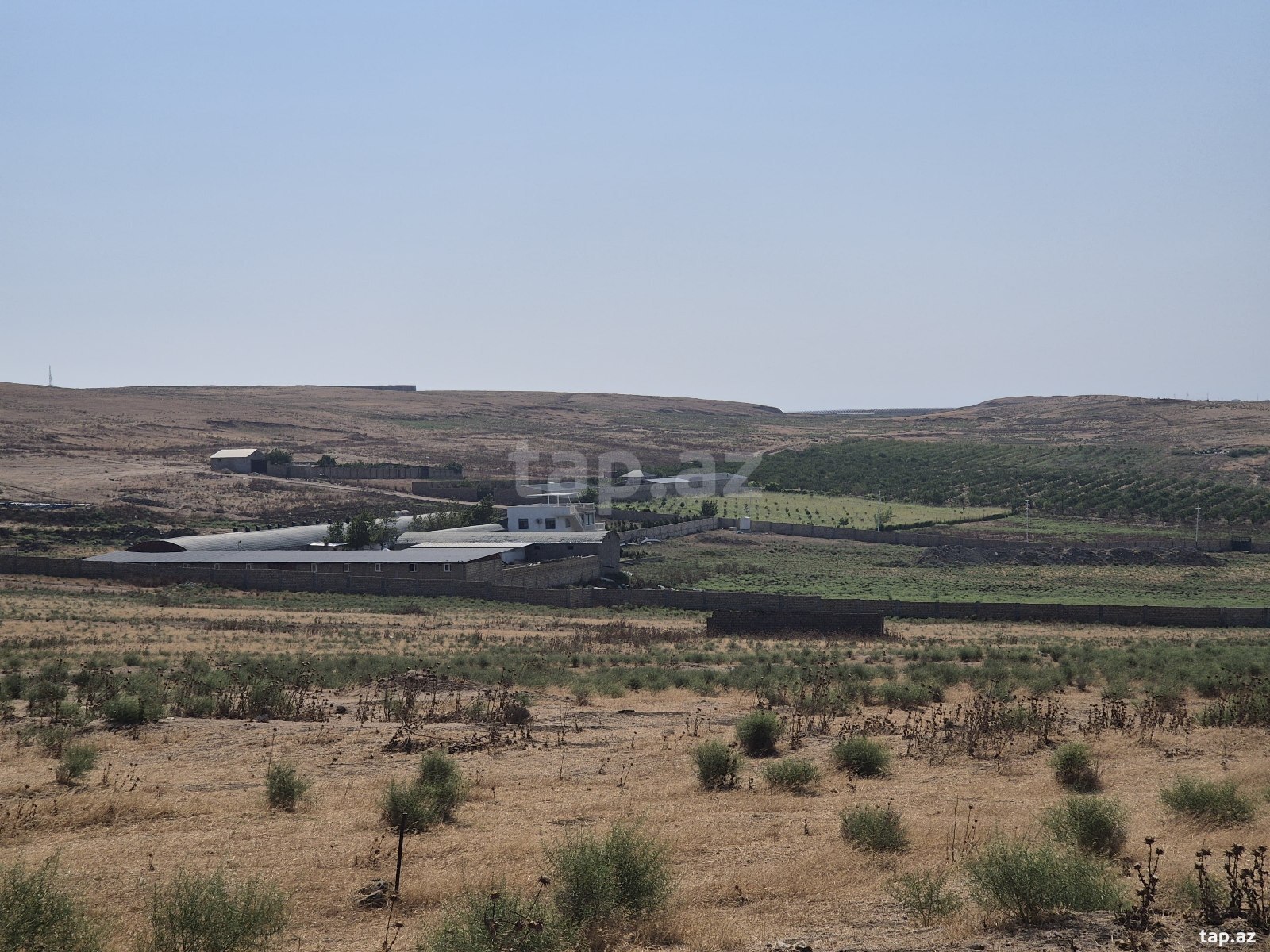 41 sot torpaq sahəsi, Mehdiabad qəs. (5)