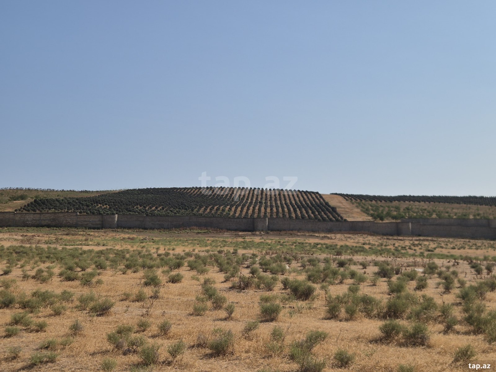 41 sot torpaq sahəsi, Mehdiabad qəs. (7)