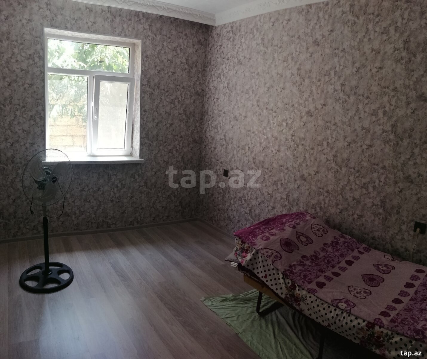 Həyət evi, Saray qəs. (12)