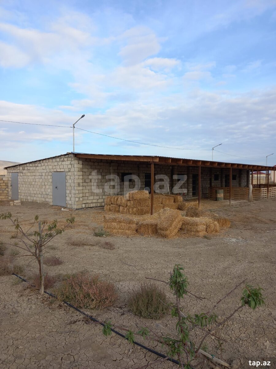 700 sot torpaq sahəsi, Hacıqabul r.