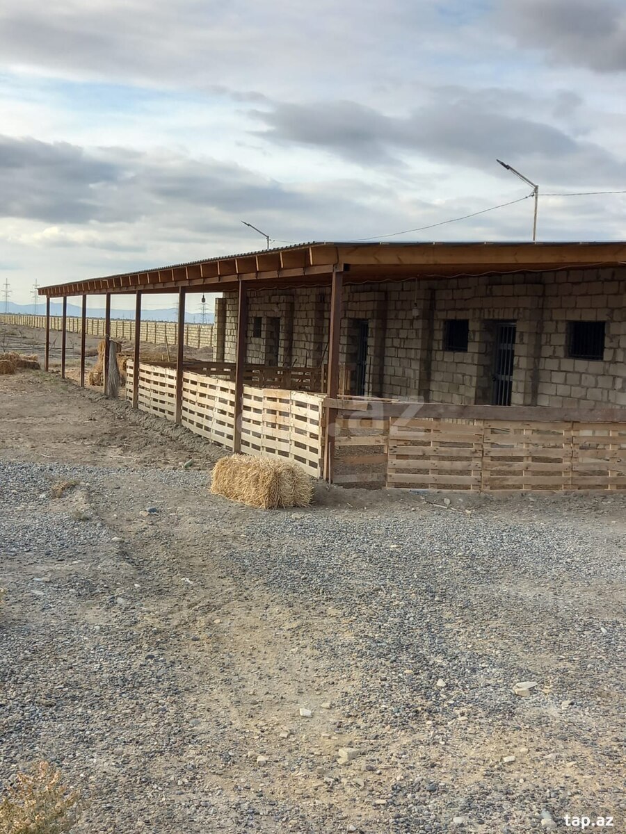 700 sot torpaq sahəsi, Hacıqabul r. (7)