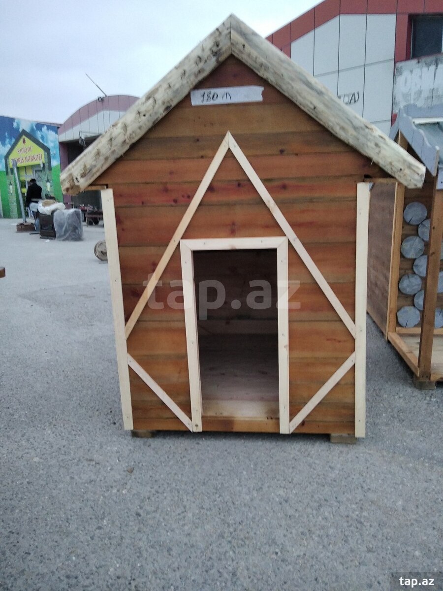 İt damı (2)