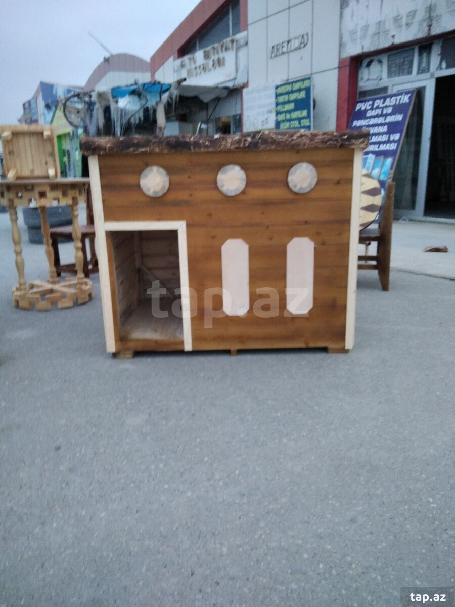 İt damı (3)