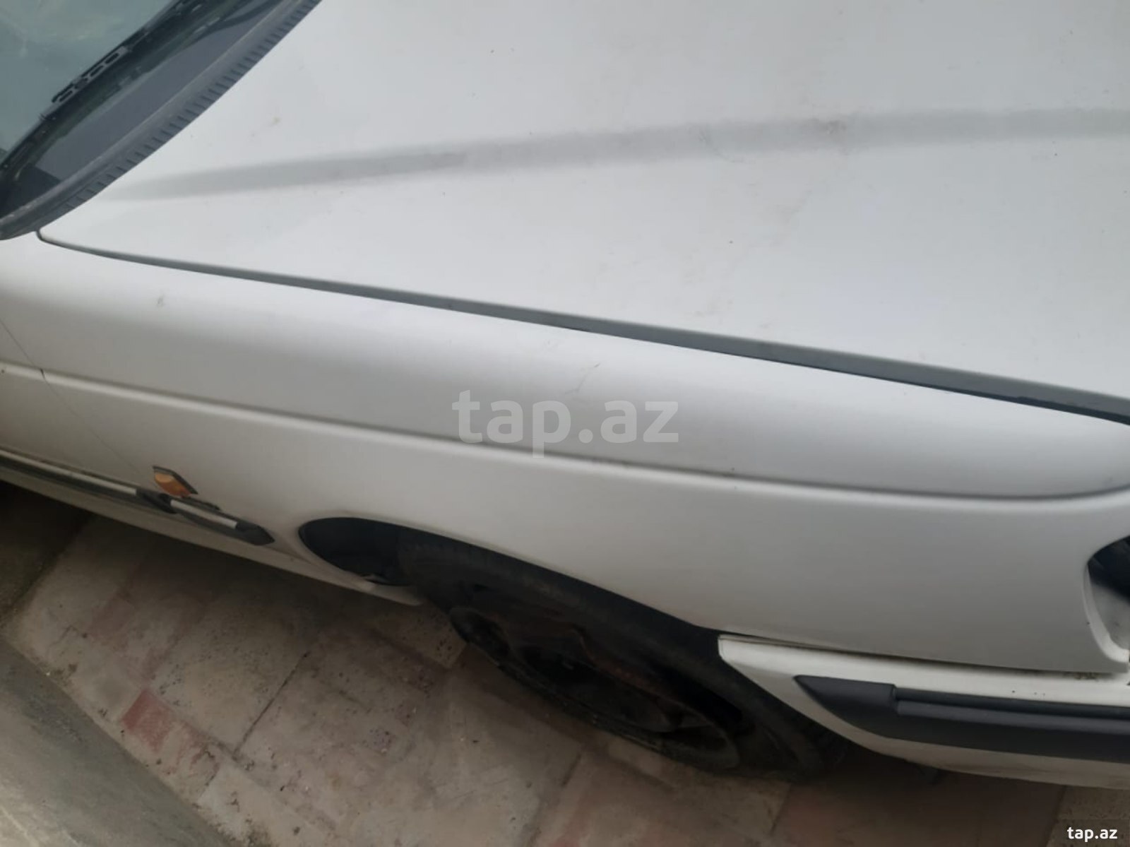 "Peugeot 406 2019" ehtiyat hissələri (6)