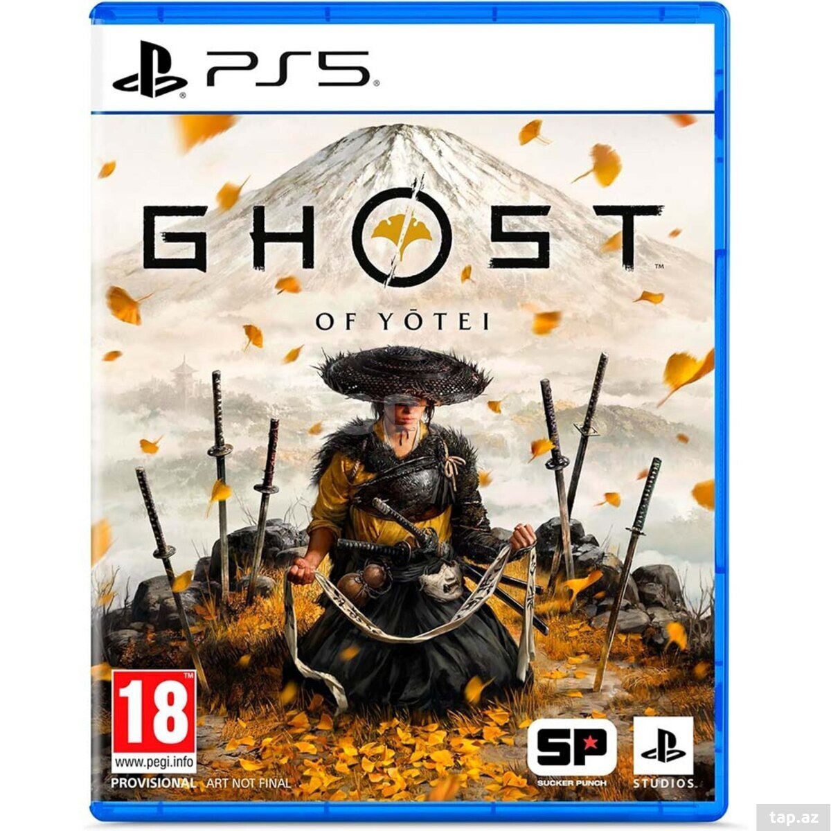 PS5 maşın oyunları (34)
