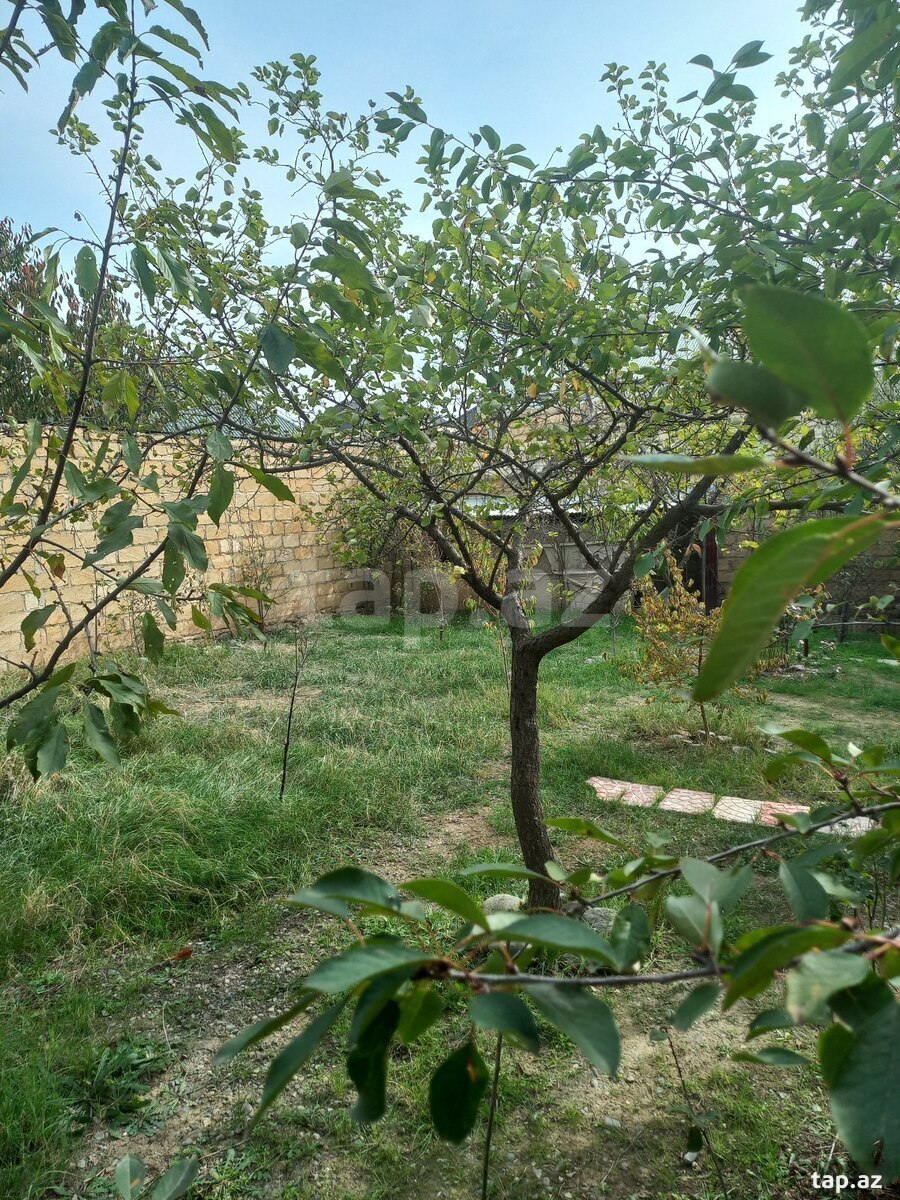 Həyət evi, Gəncə ş.