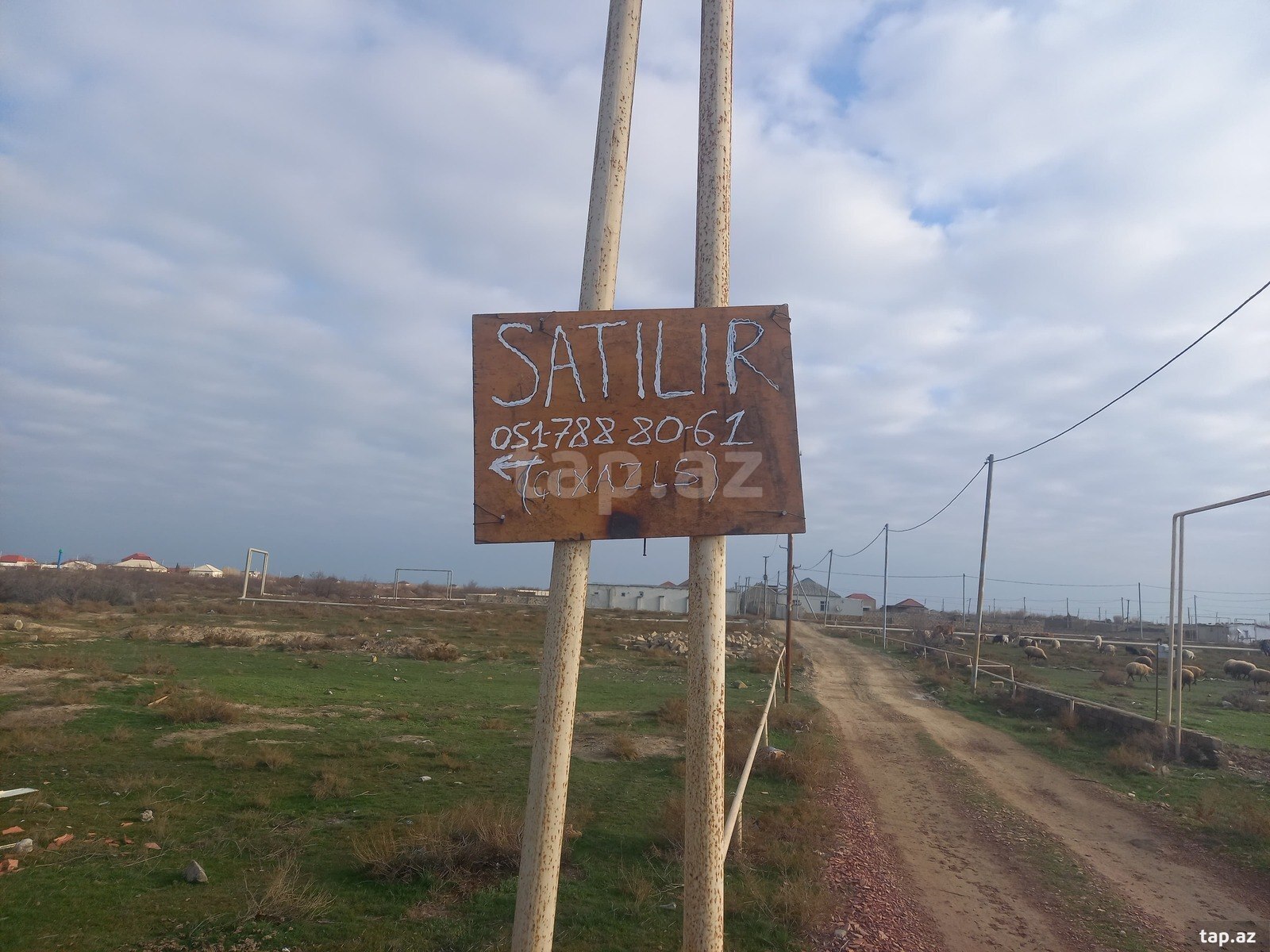 6 sot torpaq sahəsi, Yaşma bağları (5)