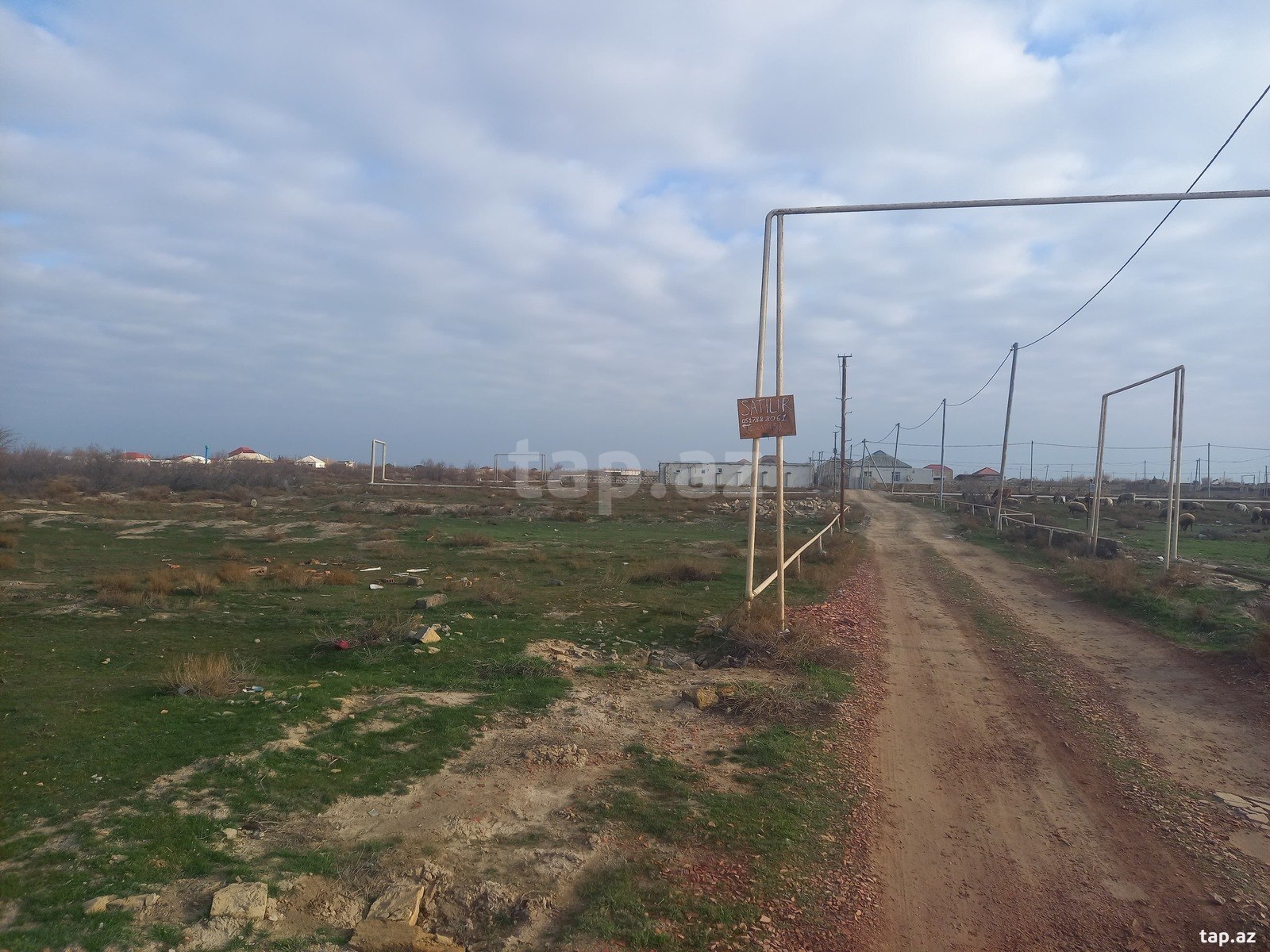 6 sot torpaq sahəsi, Yaşma bağları (8)