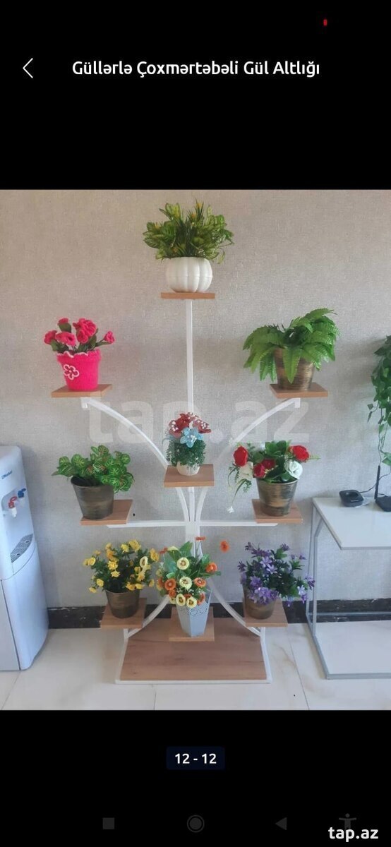 Gül rəfi (5)