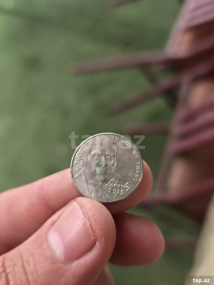 Amerika pulları (5)