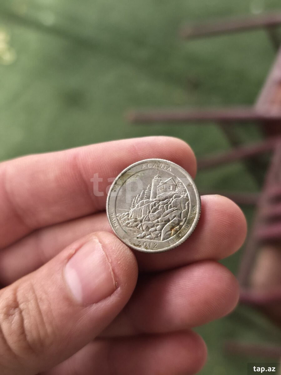 Amerika pulları (2)