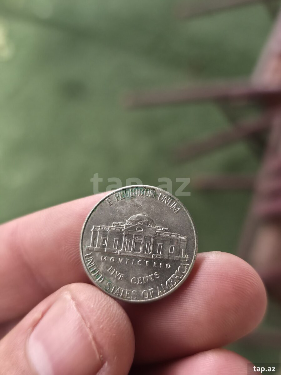 Amerika pulları (6)